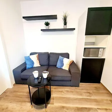 Luxury One Bedroom With Free Parking Apartment *
